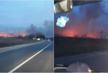 Photo of foto, video | Circa 40 de hectare de vegetație au ars aseară la Strășeni. Pompierii au luptat cu flăcările mai mult de trei ore