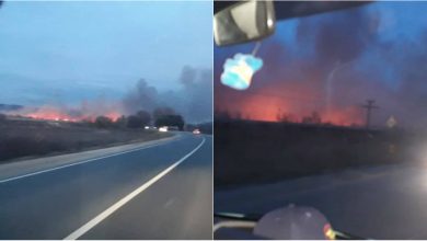 Photo of foto, video | Circa 40 de hectare de vegetație au ars aseară la Strășeni. Pompierii au luptat cu flăcările mai mult de trei ore