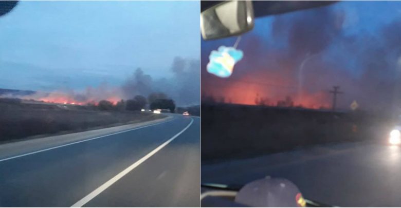 Photo of foto, video | Circa 40 de hectare de vegetație au ars aseară la Strășeni. Pompierii au luptat cu flăcările mai mult de trei ore
