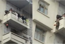 Photo of video | Operațiune de salvare a unei pisici. Bunica și-a „atârnat” nepotul de la al cincilea etaj pentru ca să își salveze felina