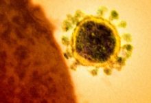 Photo of Ce se știe despre Lambda, cea mai nouă variantă a coronavirusului: A fost detectată în circa 30 de țări