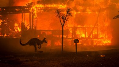 Photo of Trei persoane sunt acuzate că ar fi aprins focul în zona cea mai afectată de incendiile din Australia