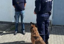 Photo of foto | Un moldovean, „luat la rost” la frontieră de patrupedul Lira. Cu ce l-a prins câinele de serviciu pe conațional? 