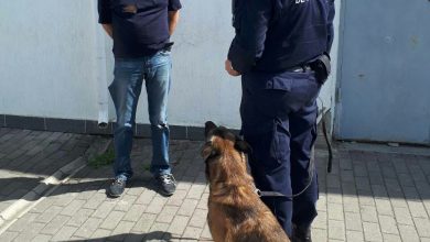 Photo of foto | Un moldovean, „luat la rost” la frontieră de patrupedul Lira. Cu ce l-a prins câinele de serviciu pe conațional? 