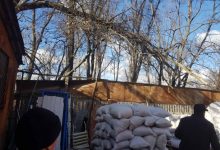 Photo of foto | O ramură de copac s-a prăbușit peste un bărbat, pe teritoriul unei întreprinderi din capitală. Reacția primăriei