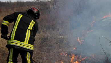 Photo of video | Flăcări puternice în Anenii Noi. Șase hectare de vegetație au fost „zdrobite” de un incendiu