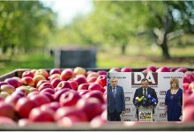 Photo of video | Platforma DA: „Sute de producători agricoli nu pot exporta în Rusia din cauza  intereselor meschine ale lui Dodon”