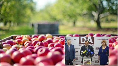 Photo of video | Platforma DA: „Sute de producători agricoli nu pot exporta în Rusia din cauza  intereselor meschine ale lui Dodon”