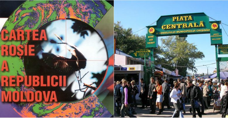 Photo of foto | Mai nou, la Piața Centrală puteți cumpăra „specimene” incluse în Cartea Roșie. Ce descoperire a făcut un ecolog?