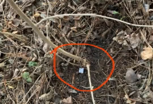 Photo of video | Acoperea drogurile cu bandă adezivă și le punea în ascunzișuri. Câți ani riscă să petreacă după gratii un tânăr din capitală?