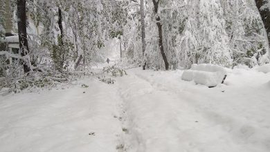 Photo of meteo | Pregătiți mănușile și săniuțele! Codul portocaliu de schimbare bruscă a vremii a fost extins pe întreg teritoriul țării