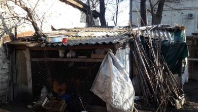 Photo of foto | Primăria luptă cu găinile? Un coteț a fost demontat dintr-o curte din centrul capitalei