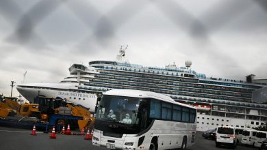 Photo of 23 de pasageri ai navei Diamond Princess au părăsit unitatea de transport fără a fi testați de coronavirus