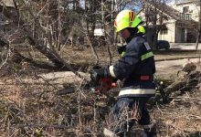 Photo of foto | O familie din Râșcani „s-a trezit” cu un copac de-asupra casei. Ce alte „năzbâtii” a cauzat vântul puternic în țară?