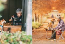 Photo of foto | Muncesc împreună și își spun povești din priviri. Un nepot a surprins relația dintre bunica sa și câinele ei în fotografii senzaționale