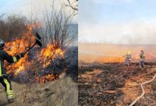 Photo of foto | E de vină Codul galben sau iresponsabilitatea? Peste 50 de incendii au „nimicit” hectare întregi de vegetație în doar 24 de ore