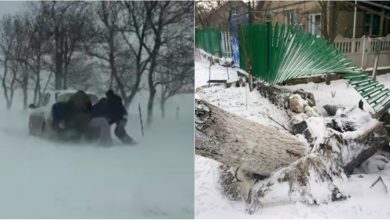 Photo of video | Iarna i-a pus pe jar și pe cei din Găgăuzia. Copaci s-au prăbușit peste liniile de electricitate, iar o stație a fost smulsă de vânt