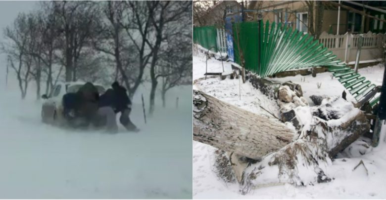 Photo of video | Iarna i-a pus pe jar și pe cei din Găgăuzia. Copaci s-au prăbușit peste liniile de electricitate, iar o stație a fost smulsă de vânt