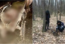 Photo of foto | Indivizii care ar fi împușcat un cerb nobil în rezervația Codrii au fost identificați. Ce pedeapsă riscă cei trei bărbați?