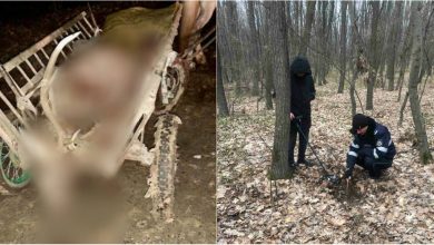 Photo of foto | Indivizii care ar fi împușcat un cerb nobil în rezervația Codrii au fost identificați. Ce pedeapsă riscă cei trei bărbați?