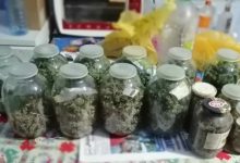 Photo of Marijuana „conservată” în borcane, depistată de polițiști în câteva locuințe din Cahul. Valoarea drogurilor confiscate este de 300.000 de lei
