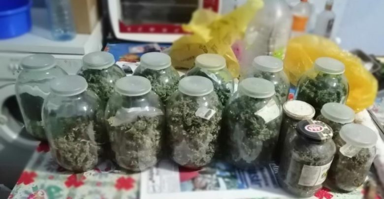 Photo of Marijuana „conservată” în borcane, depistată de polițiști în câteva locuințe din Cahul. Valoarea drogurilor confiscate este de 300.000 de lei
