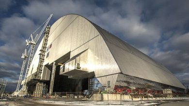 Photo of Descoperire incredibilă la Cernobîl. O ciupercă crește în interiorul reactorului nuclear și se hrănește cu radiații