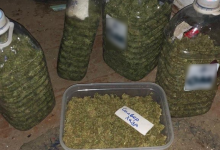 Photo of video | Ar fi transformat o casă într-un laborator de droguri. Cât cerea pentru un gram de marijuană un grup criminal?