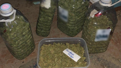 Photo of video | Ar fi transformat o casă într-un laborator de droguri. Cât cerea pentru un gram de marijuană un grup criminal?