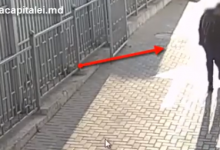 Photo of video | S-a apropiat și i-a băgat mâna în buzunar. Momentul în care un bărbat fură telefonul unei eleve în plină stradă