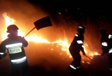 Photo of foto, video | Incendiile de vegetație au mistuit circa 600 de hectare de teren. Care sunt cele mai afectate regiuni din Moldova?