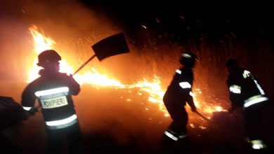 Photo of foto, video | Incendiile de vegetație au mistuit circa 600 de hectare de teren. Care sunt cele mai afectate regiuni din Moldova?