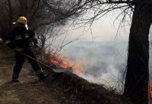 Photo of video | Incendiu puternic în Rezervația naturală științifică Prutul de Jos. Mai mulți pompieri au luptat ore în șir cu flăcările