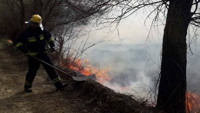 Photo of video | Incendiu puternic în Rezervația naturală științifică Prutul de Jos. Mai mulți pompieri au luptat ore în șir cu flăcările