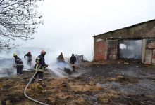 Photo of Incendiu puternic într-o gospodărie din Leova. Zeci de oi au fost ucise de flăcări