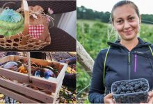 Photo of foto | Tu ce-i dăruiești Femeii din viața ta de 8 Martie? Vino la un târg „dulce” și cumpără delicii preparate de moldovence