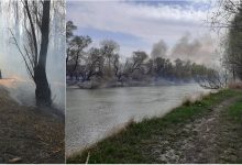 Photo of foto | Pompierii din Moldova și cei din România au luptat circa 24 de ore cu un incendiu de proporții care s-a produs la graniță 