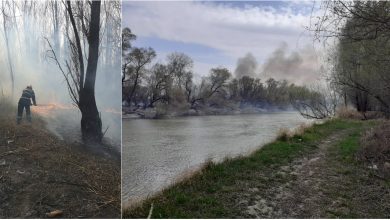 Photo of foto | Pompierii din Moldova și cei din România au luptat circa 24 de ore cu un incendiu de proporții care s-a produs la graniță 