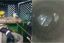 Photo of foto | S-a speriat enorm, dar nu a fost lăsată în voia sorții. Salvatorii au scos o pisică dintr-o fântână la Căușeni