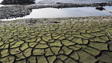 Photo of Măsuri extreme din cauza secetei: O țară ar putea raționaliza consumul de energie electrică