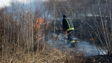 Photo of Mai multe incendii au mistuit azi suprafețe extinse de pe teritoriul țării. Pompierii încă luptă cu flăcările