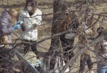 Photo of video | Cu mănuși, măști, șampanie și baloane. Un grup de tinere, surprinse cum sărbătoresc în curtea unui bloc