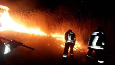 Photo of foto | În doar 24 de ore, aproape 500 de hectare de teren au fost cuprinse de flăcări. Pompierii au luptat ore în șir cu focul
