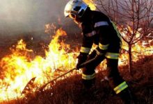 Photo of De la începutul anului, incendiile au nimicit peste 8000 de hectare de vegetație uscată. Doar în ultimele 24 de ore s-au înregistrat peste 50 de focare