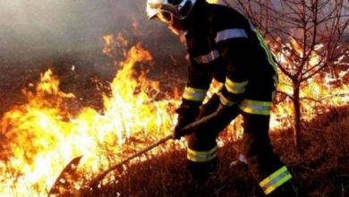 Photo of De la începutul anului, incendiile au nimicit peste 8000 de hectare de vegetație uscată. Doar în ultimele 24 de ore s-au înregistrat peste 50 de focare