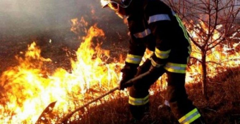Photo of De la începutul anului, incendiile au nimicit peste 8000 de hectare de vegetație uscată. Doar în ultimele 24 de ore s-au înregistrat peste 50 de focare