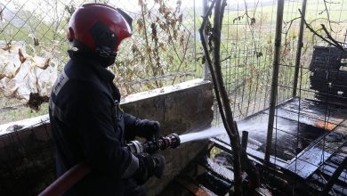Photo of foto, video | Incendiu într-o suburbie a capitalei: Un șopron cu lemne a fost distrus de flăcări