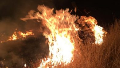 Photo of foto | Hectare întregi de vegetație au ars timp de 24 de ore. În ce localități au fost incendiile?