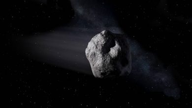 Photo of video | Un asteroid a trecut pe lângă Pământ. „Este mai mic decât cel care a dus la dispariția dinozaurilor”