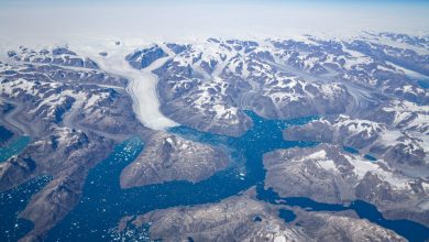 Photo of Cât de frig era în perioada glaciară? Oamenii de știință au făcut calculele